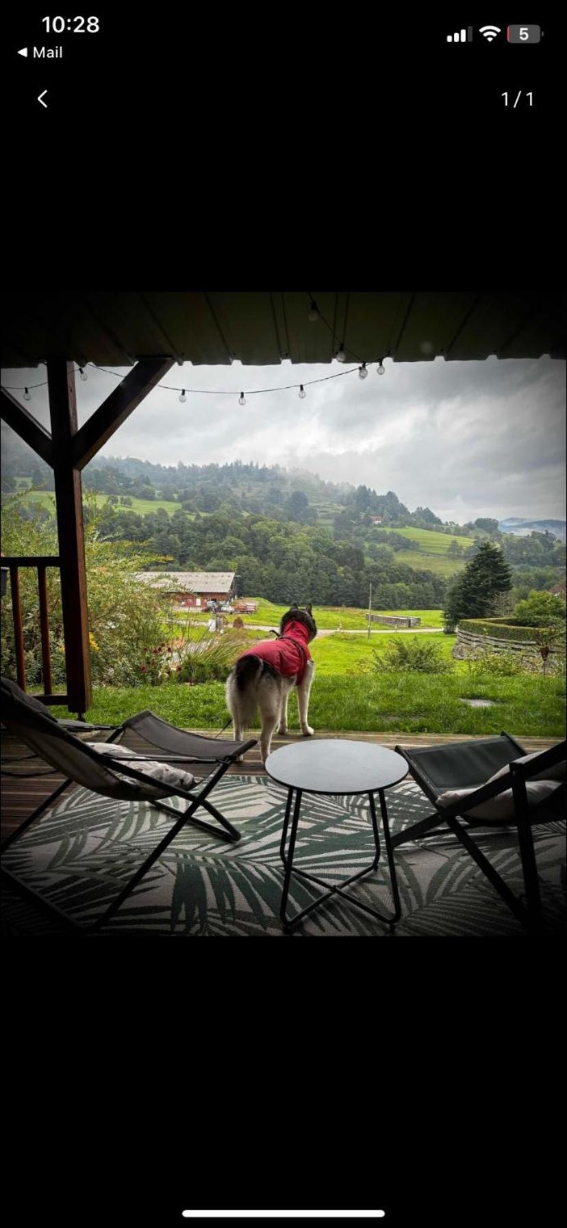 Le Chalet De Cathy Soultzeren Exteriér fotografie
